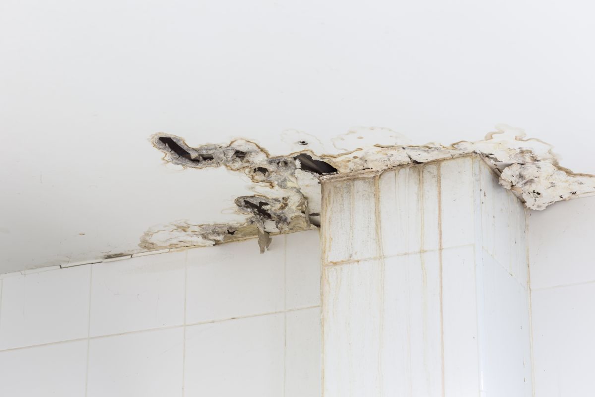 Water Damage Retoration,
