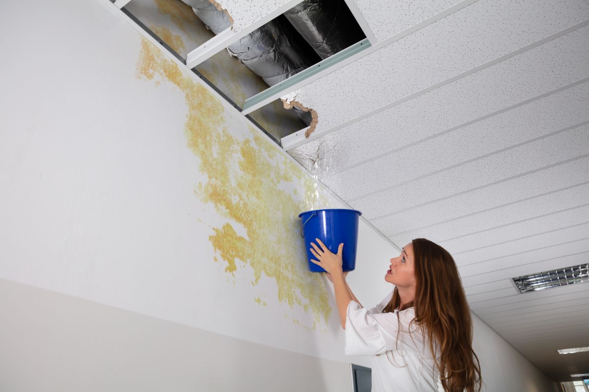 Water Damage,